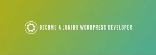 junior wordpress developer